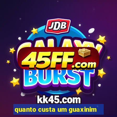 quanto custa um guaxinim